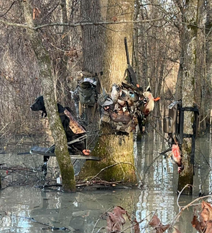 Chasing adventure in Louisiana’s wild swamps!